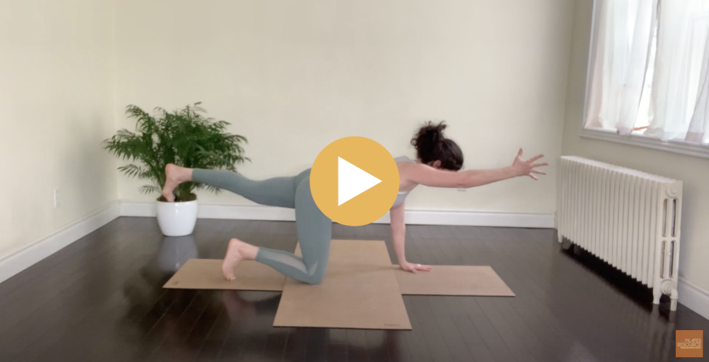 Pilates Mat Exercise Video